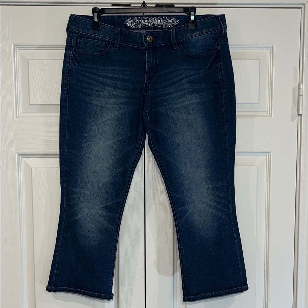 Express Dark Wash Ankle Jeans